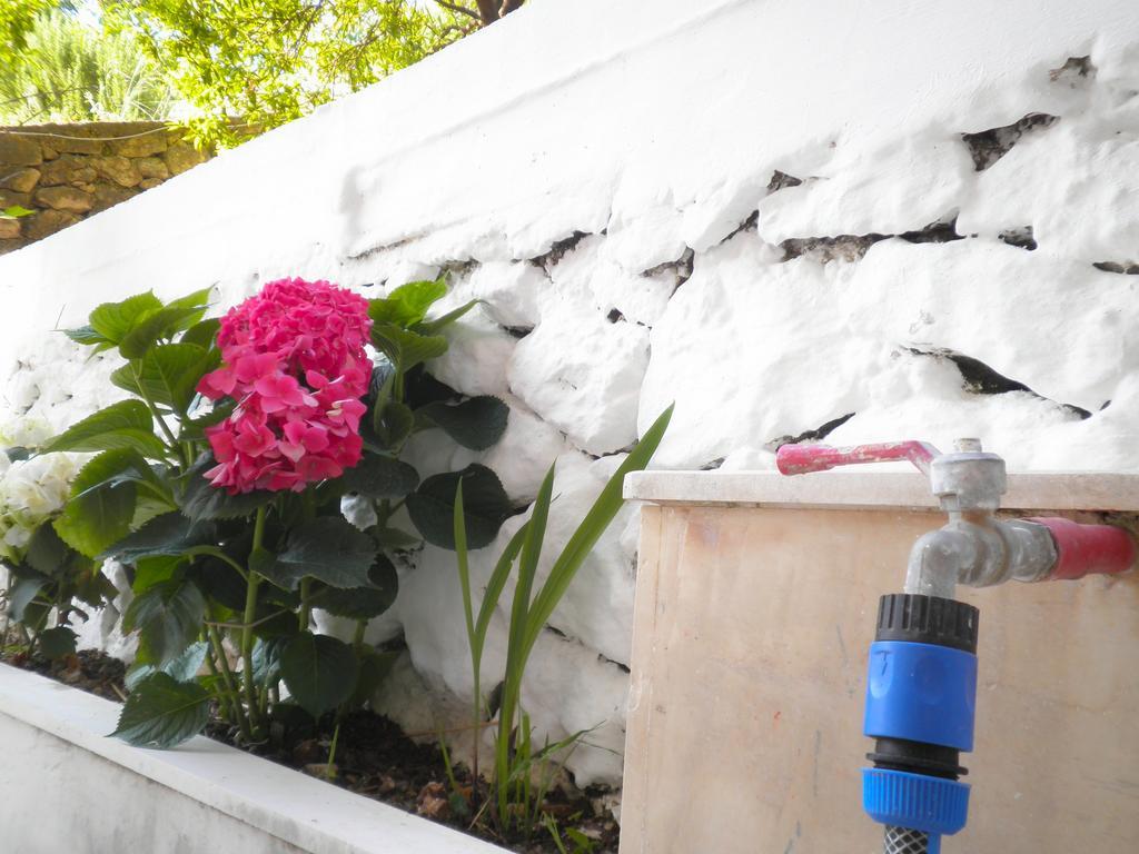 Kostas Studios II Vasiliki  Exterior photo