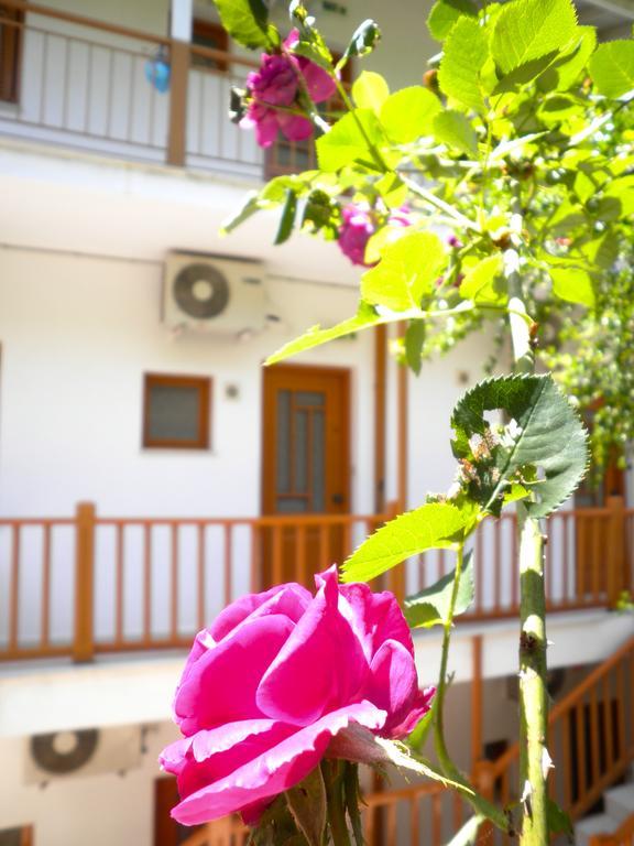 Kostas Studios II Vasiliki  Exterior photo