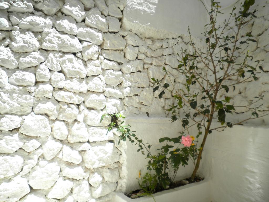 Kostas Studios II Vasiliki  Exterior photo